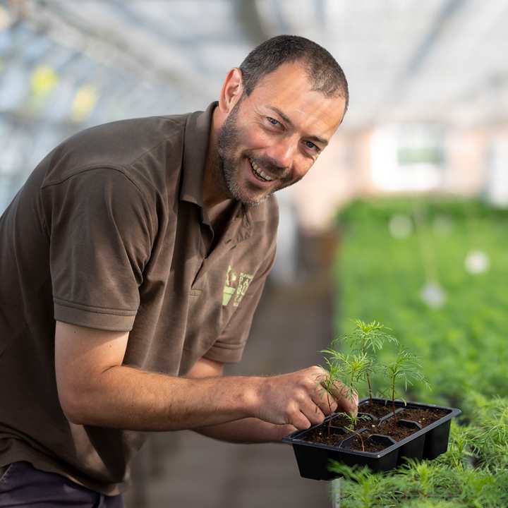 A man smiling in a greenhouse while planting seedlings