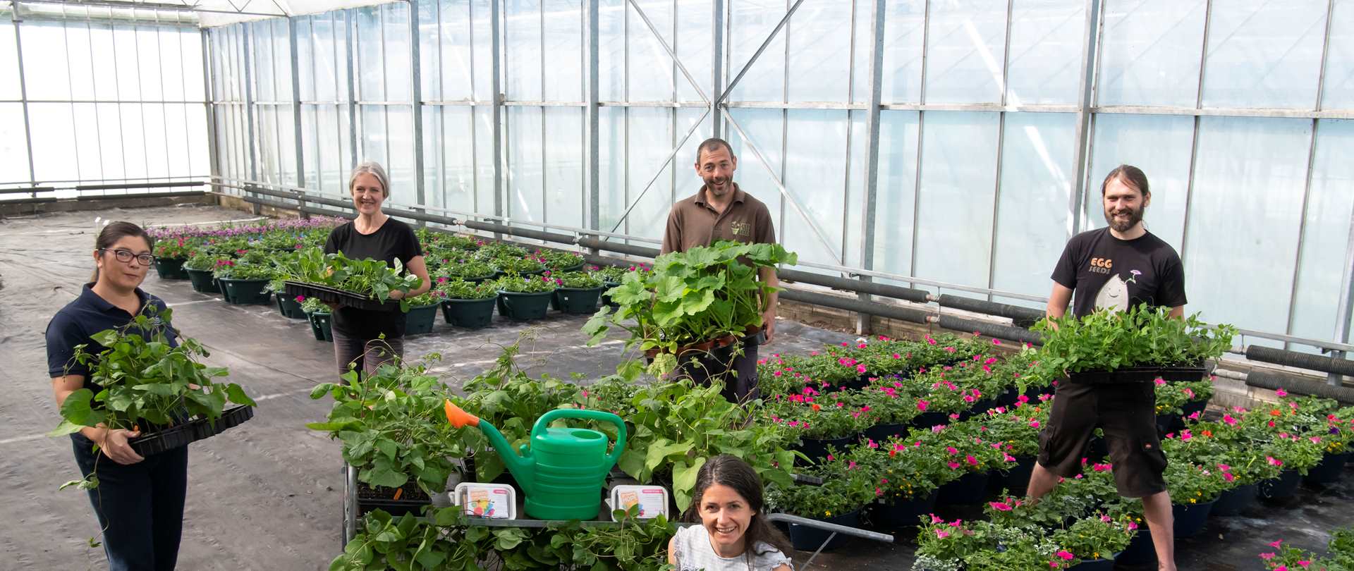A group of men and women holding plants in pots and smiling from a social distance