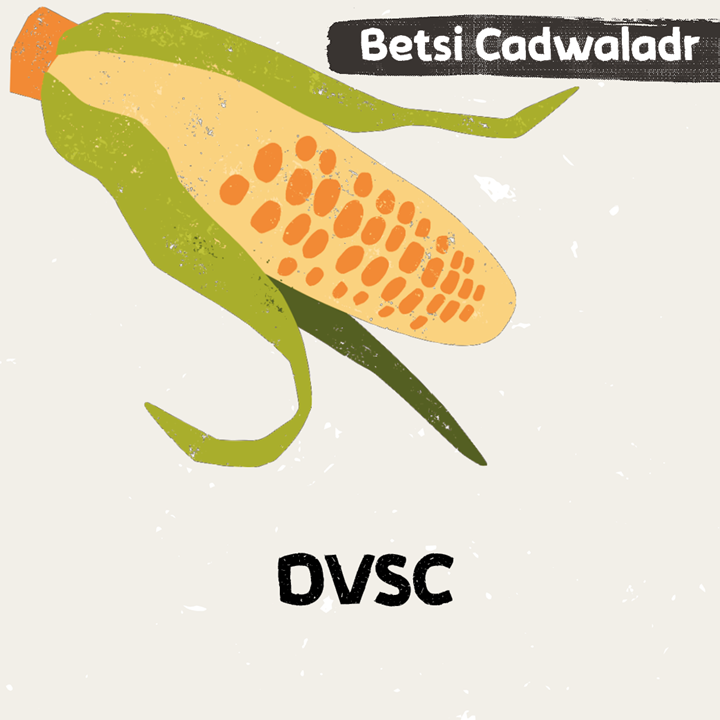 Illustration for DVSC in Betsi Cadwaladr