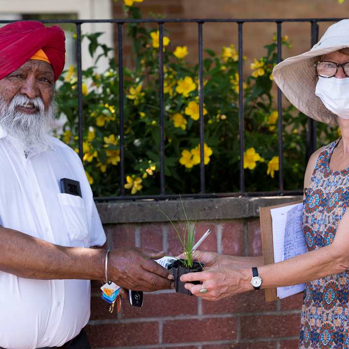 Woman handing out seedlings to community members