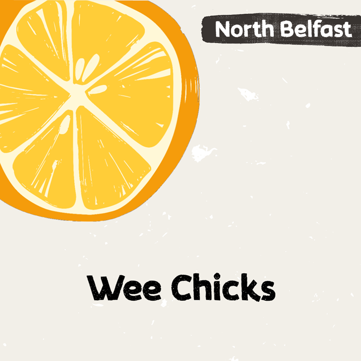 Illustration for Wee Chicks in Northern Ireland