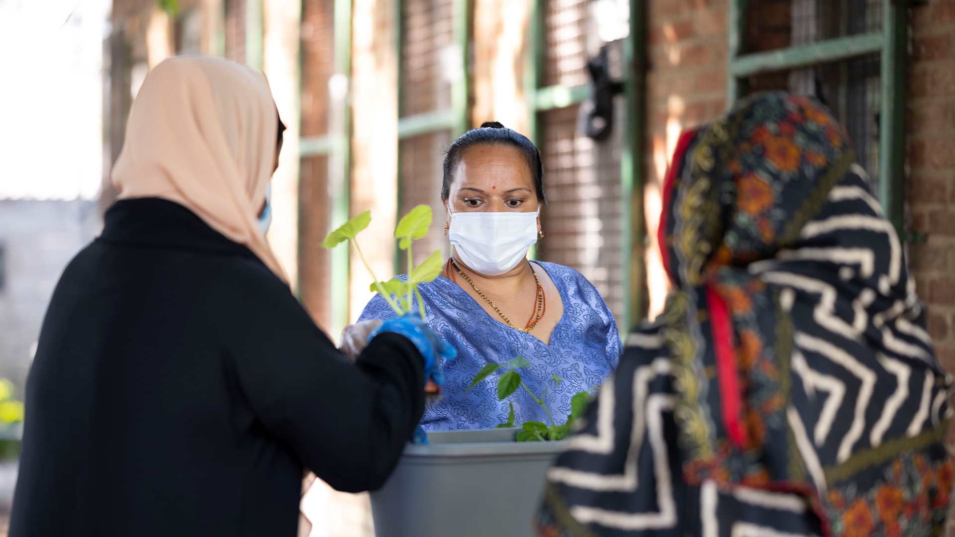 A woman in a face mask handing out plants to community members