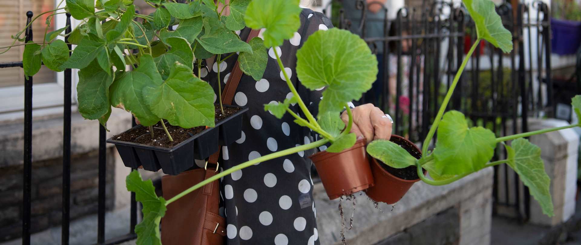 Woman holding plants in pots and smiling